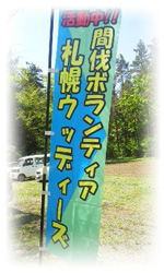 札幌ウッディーズの旗