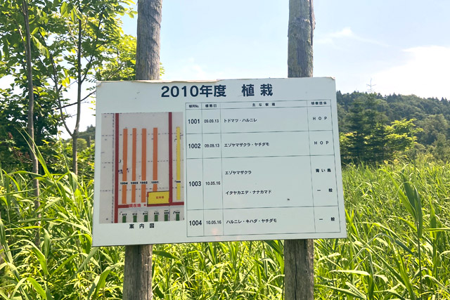 どろ亀さん記念・当別22世紀の森01