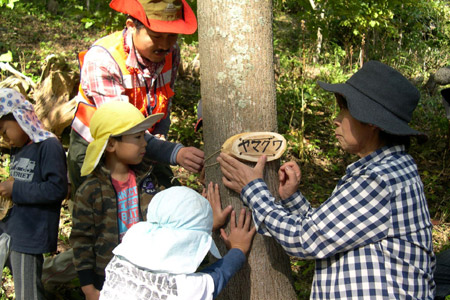 樹名板の取り付け