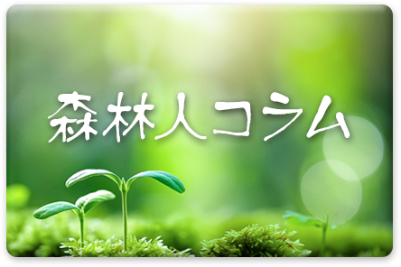 森林人コラム