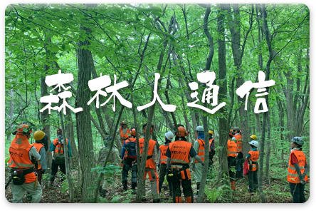 森林人通信
