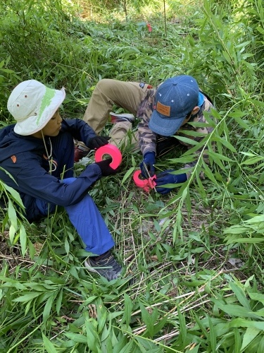 7月25日（日）柴原山林　笹刈り・枯損木処理_c0173813_09571630.jpg