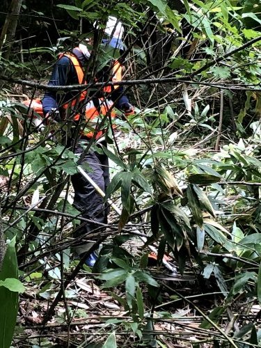 8月7日（土）柴原山林　笹刈り・枯損木処理_c0173813_10010339.jpg