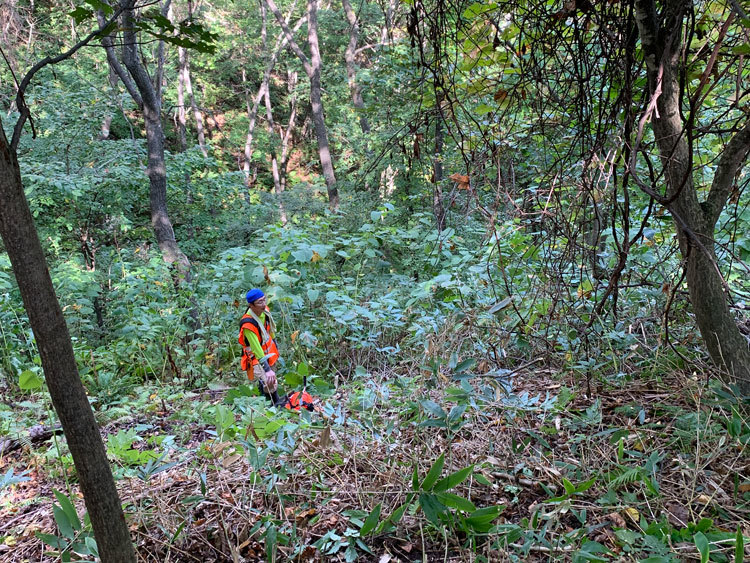 10月2日（土）髙川山林　作業道づくり・笹刈り_c0173813_09273052.jpg