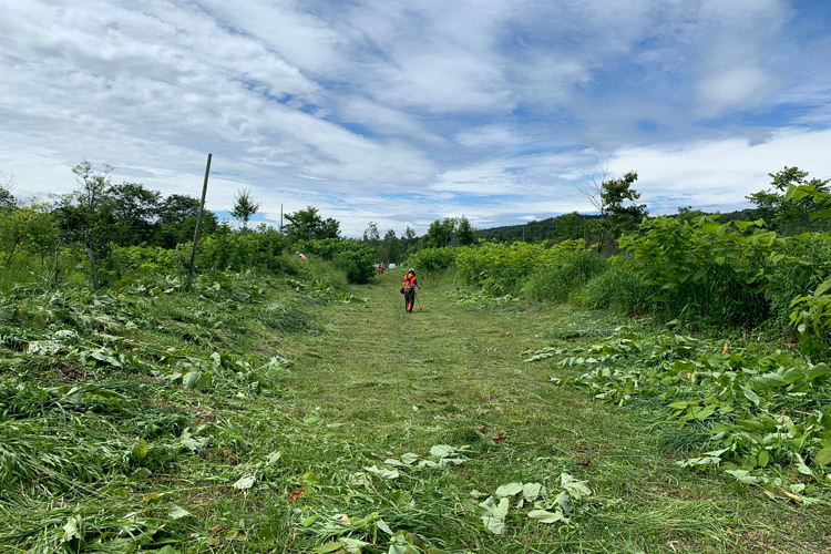 7月9日（土）NPO新山川草木 22世紀の森　草刈り_c0173813_12153677.jpg