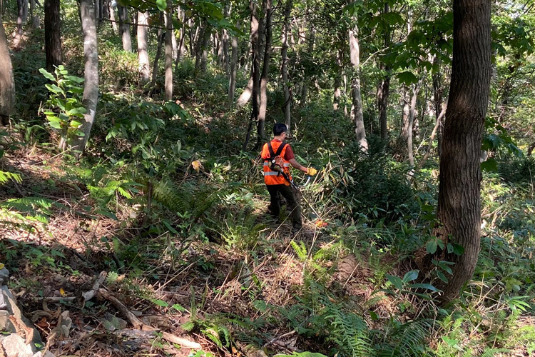 10/1（土）髙川山林　北尾根斜面の遊歩道作り、笹刈り_c0173813_10341562.jpg