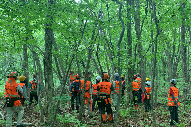 2024/5/26（日）北山山林　風倒木処理_c0173813_09435877.jpg